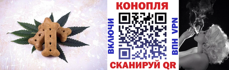 KRAKEN как войти  Клинцы  Canna-Cookies конопля  цены наркотик 