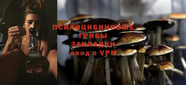 спайс Ладушкин