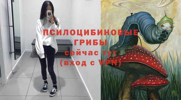 мдпв Лиски