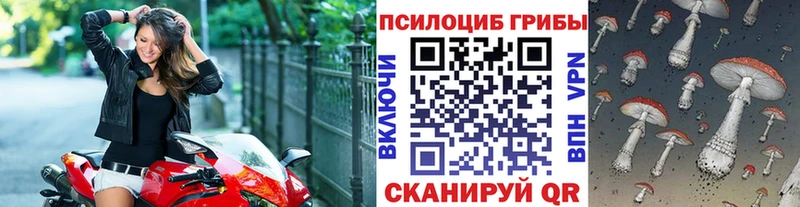 Псилоцибиновые грибы ЛСД MEGA ссылка Клинцы